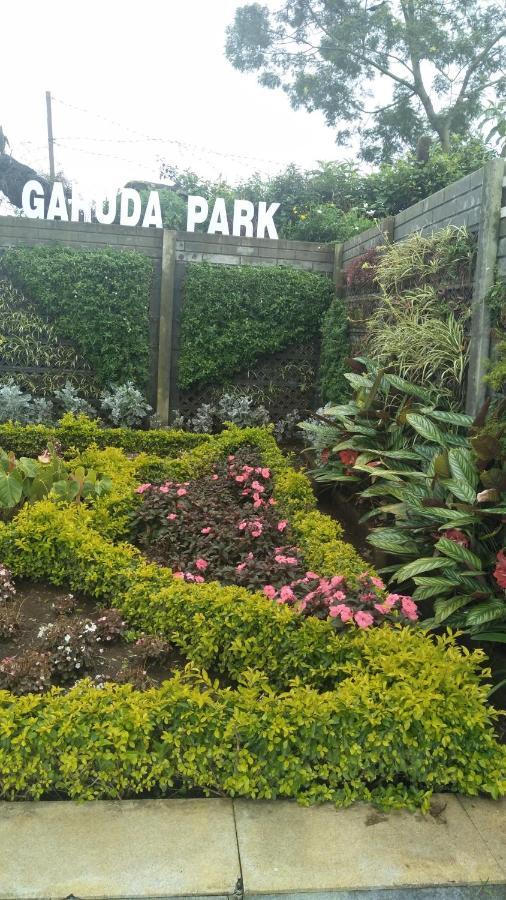 Garuda Park Resort Котагири Номер фото